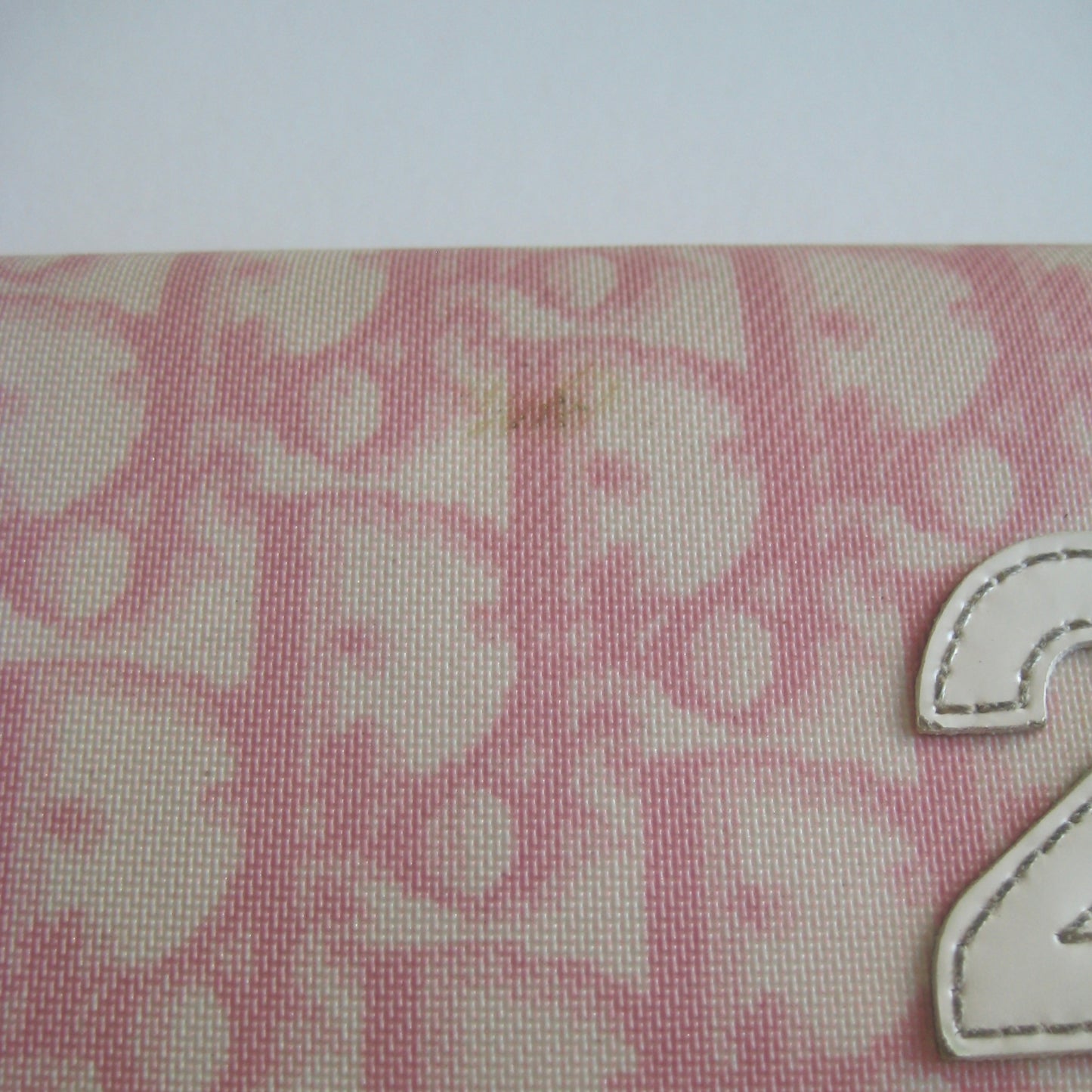 Christian Dior Girly Wallet | Y2K Pink Obsession