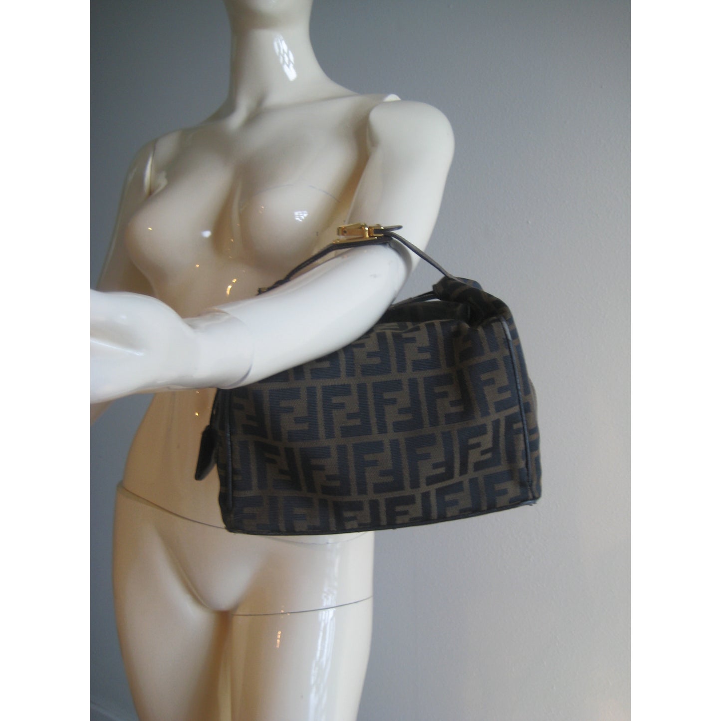 Fendi Zucca Vanity Bag